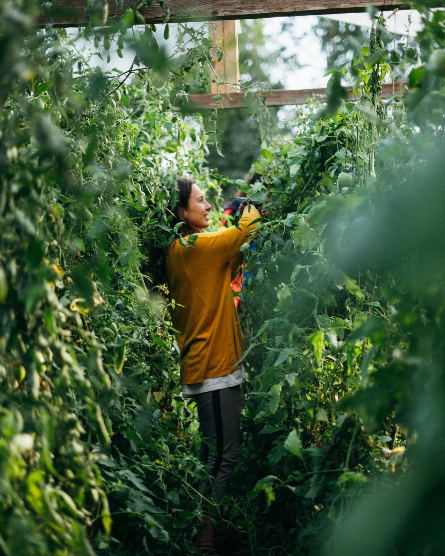 Market Gardening 